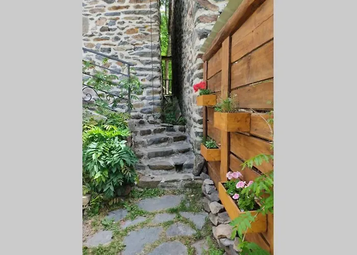 Le P'tit Nid De Riouffreyt Vakantiehuis Le Pertuis